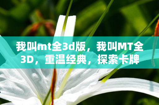 我叫mt全3d版，我叫MT全3D，重温经典，探索卡牌策略新境界
