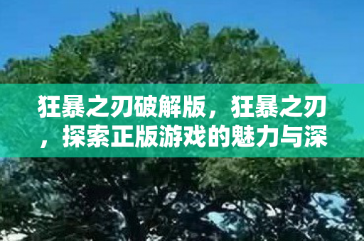 狂暴之刃破解版，狂暴之刃，探索正版游戏的魅力与深度