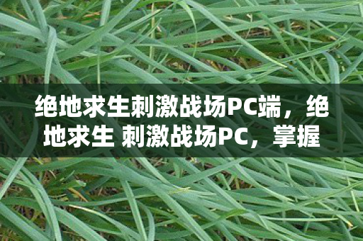 绝地求生刺激战场PC端，绝地求生 刺激战场PC，掌握技巧，提升游戏水平