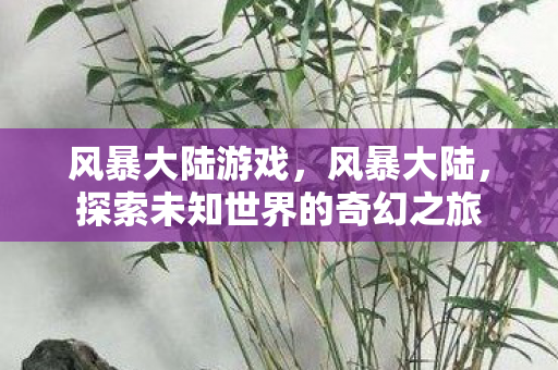 风暴大陆游戏，风暴大陆，探索未知世界的奇幻之旅