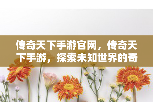 传奇天下手游官网，传奇天下手游，探索未知世界的奇幻之旅