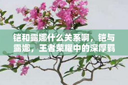 铠和露娜什么关系啊，铠与露娜，王者荣耀中的深厚羁绊