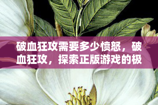 破血狂攻需要多少愤怒，破血狂攻，探索正版游戏的极致战斗体验