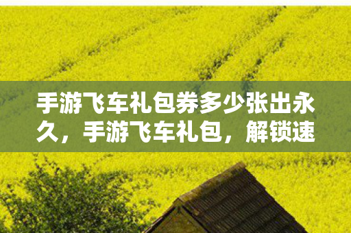 手游飞车礼包券多少张出永久，手游飞车礼包，解锁速度与激情的钥匙