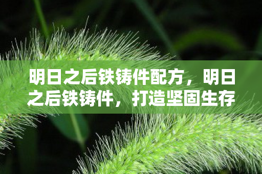 明日之后铁铸件配方，明日之后铁铸件，打造坚固生存之路