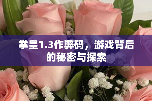 拳皇1.3作弊码，游戏背后的秘密与探索