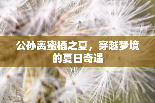 公孙离蜜橘之夏，穿越梦境的夏日奇遇