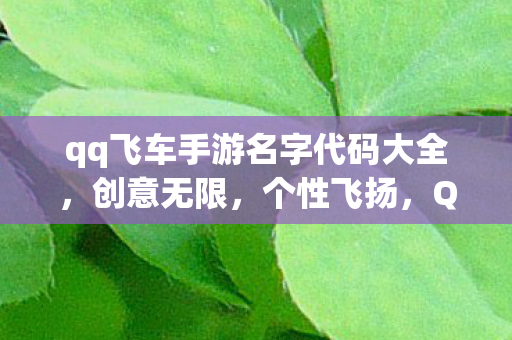 qq飞车手游名字代码大全，创意无限，个性飞扬，QQ飞车手游名字代码大全