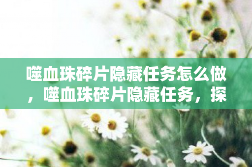 噬血珠碎片隐藏任务怎么做，噬血珠碎片隐藏任务，探索未知世界的神秘之旅