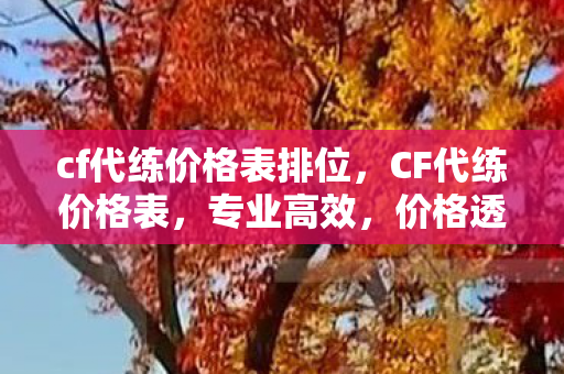 cf代练价格表排位，CF代练价格表，专业高效，价格透明