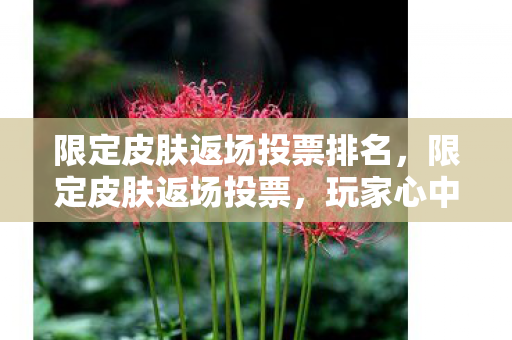 限定皮肤返场投票排名，限定皮肤返场投票，玩家心中的白月光与朱砂痣