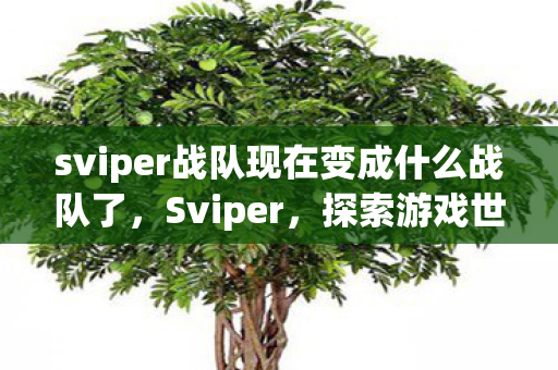 sviper战队现在变成什么战队了，Sviper，探索游戏世界的无限可能