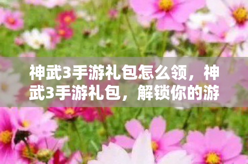 神武3手游礼包怎么领，神武3手游礼包，解锁你的游戏新体验
