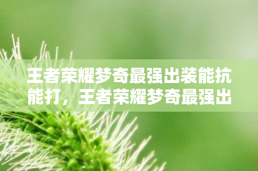王者荣耀梦奇最强出装能抗能打，王者荣耀梦奇最强出装，重塑战场格局的六神装搭配