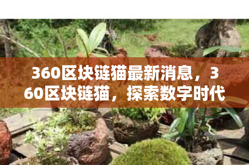 360区块链猫最新消息，360区块链猫，探索数字时代的创新应用