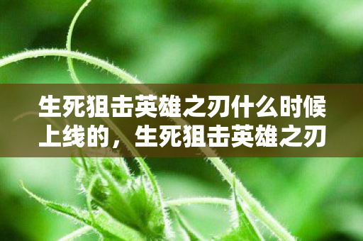 生死狙击英雄之刃什么时候上线的，生死狙击英雄之刃，探索游戏背后的创意与激情