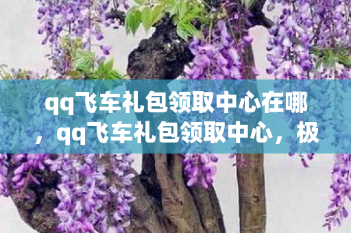 qq飞车礼包领取中心在哪，qq飞车礼包领取中心，极速领礼，畅享飞车之旅