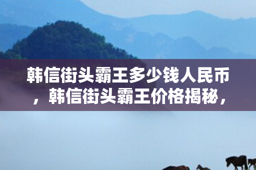 韩信街头霸王多少钱人民币，韩信街头霸王价格揭秘，为何这款皮肤如此昂贵？