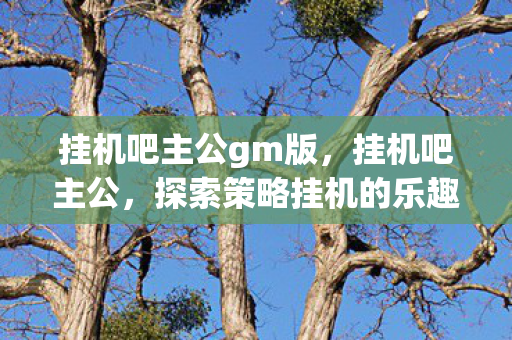 挂机吧主公gm版，挂机吧主公，探索策略挂机的乐趣与策略深度