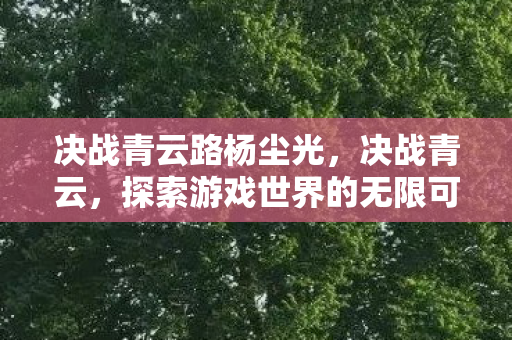 决战青云路杨尘光，决战青云，探索游戏世界的无限可能