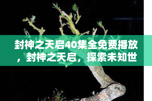 封神之天启40集全免费播放，封神之天启，探索未知世界的奇幻之旅