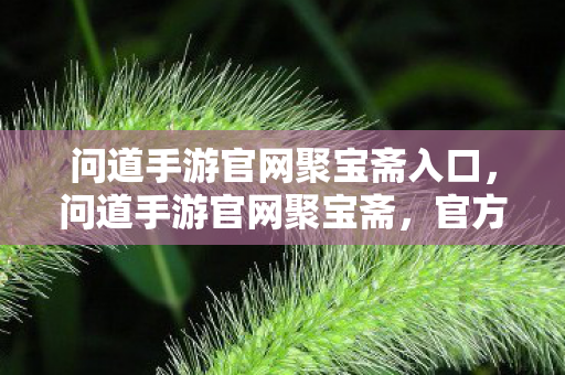 问道手游官网聚宝斋入口，问道手游官网聚宝斋，官方交易平台的独特魅力