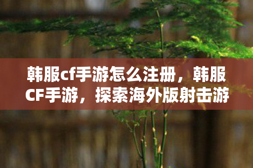 韩服cf手游怎么注册，韩服CF手游，探索海外版射击游戏的独特魅力