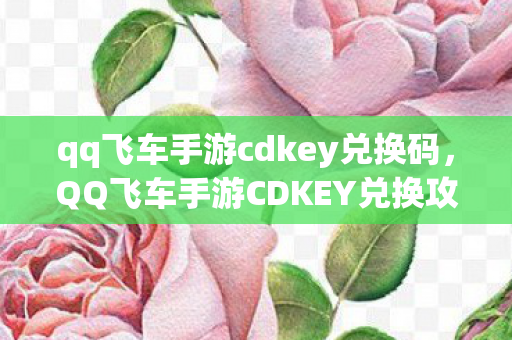 qq飞车手游cdkey兑换码，QQ飞车手游CDKEY兑换攻略，解锁专属福利，畅享极速漂移