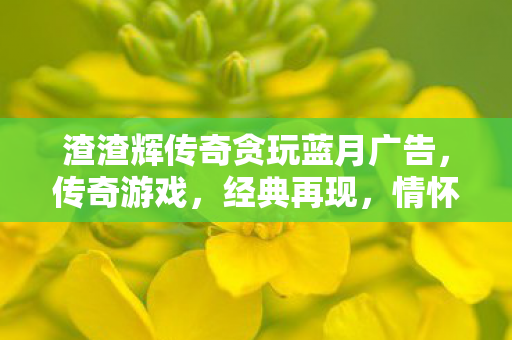 渣渣辉传奇贪玩蓝月广告，传奇游戏，经典再现，情怀依旧