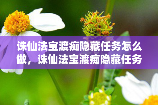 诛仙法宝渡痴隐藏任务怎么做，诛仙法宝渡痴隐藏任务揭秘，探寻未知的挑战与奖励