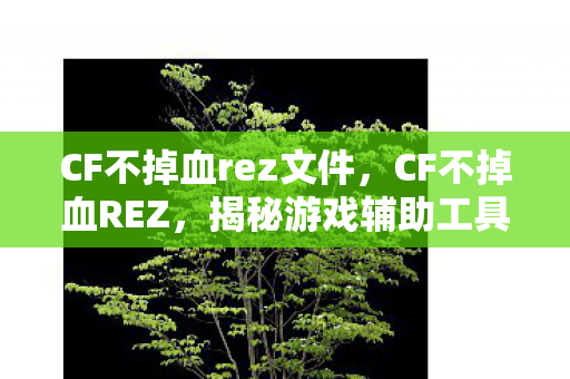 CF不掉血rez文件，CF不掉血REZ，揭秘游戏辅助工具的神秘面纱