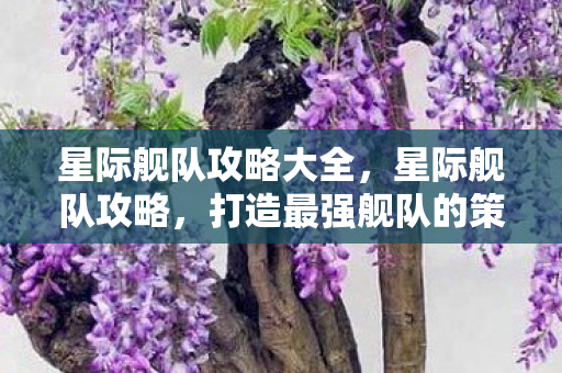 星际舰队攻略大全，星际舰队攻略，打造最强舰队的策略与技巧