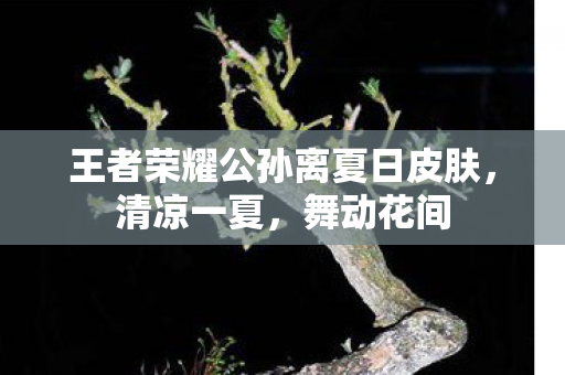 王者荣耀公孙离夏日皮肤，清凉一夏，舞动花间