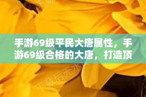 手游69级平民大唐属性，手游69级合格的大唐，打造顶尖大唐的全面攻略