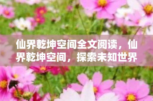 仙界乾坤空间全文阅读，仙界乾坤空间，探索未知世界的奇幻之旅