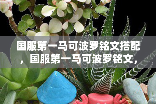 国服第一马可波罗铭文搭配，国服第一马可波罗铭文，解锁顶级射手的终极奥义