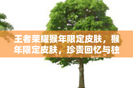 王者荣耀猴年限定皮肤，猴年限定皮肤，珍贵回忆与独特魅力的结合