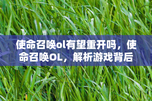 使命召唤ol有望重开吗，使命召唤OL，解析游戏背后的创新与挑战