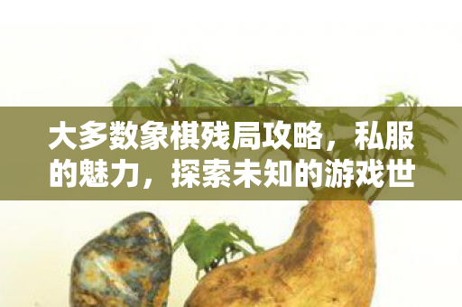 大多数象棋残局攻略，私服的魅力，探索未知的游戏世界