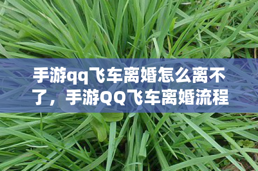 手游qq飞车离婚怎么离不了，手游QQ飞车离婚流程详解