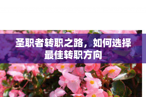 圣职者转职之路，如何选择最佳转职方向