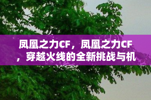 凤凰之力CF，凤凰之力CF，穿越火线的全新挑战与机遇