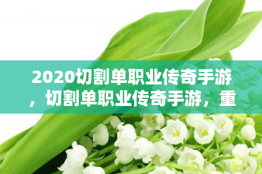 2020切割单职业传奇手游，切割单职业传奇手游，重塑经典，挑战无限可能