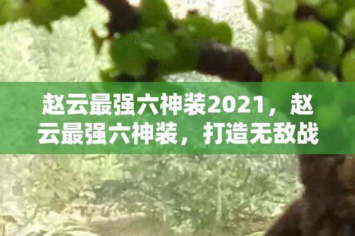 赵云最强六神装2021，赵云最强六神装，打造无敌战神的装备指南