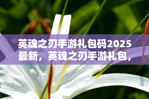 英魂之刃手游礼包码2025最新，英魂之刃手游礼包，解锁游戏新体验，助力玩家称霸战场
