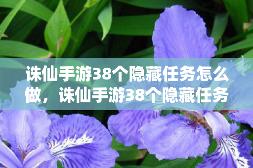 诛仙手游38个隐藏任务怎么做，诛仙手游38个隐藏任务全解析，探索未知，解锁惊喜