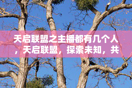 天启联盟之主播都有几个人，天启联盟，探索未知，共筑游戏新纪元