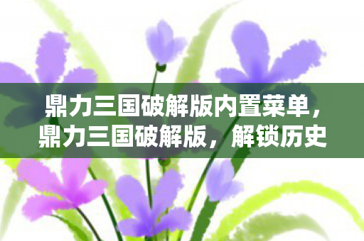 鼎力三国破解版内置菜单，鼎力三国破解版，解锁历史战役的无限可能