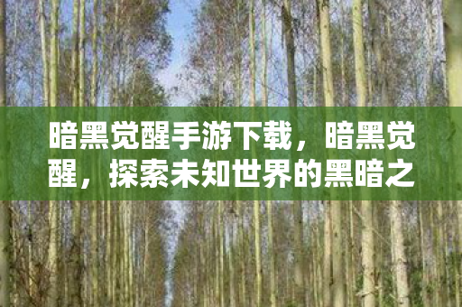 暗黑觉醒手游下载，暗黑觉醒，探索未知世界的黑暗之旅