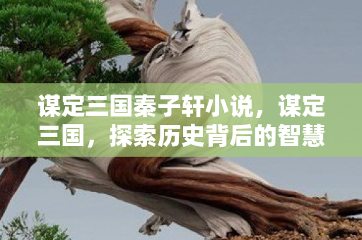 谋定三国秦子轩小说，谋定三国，探索历史背后的智慧与策略